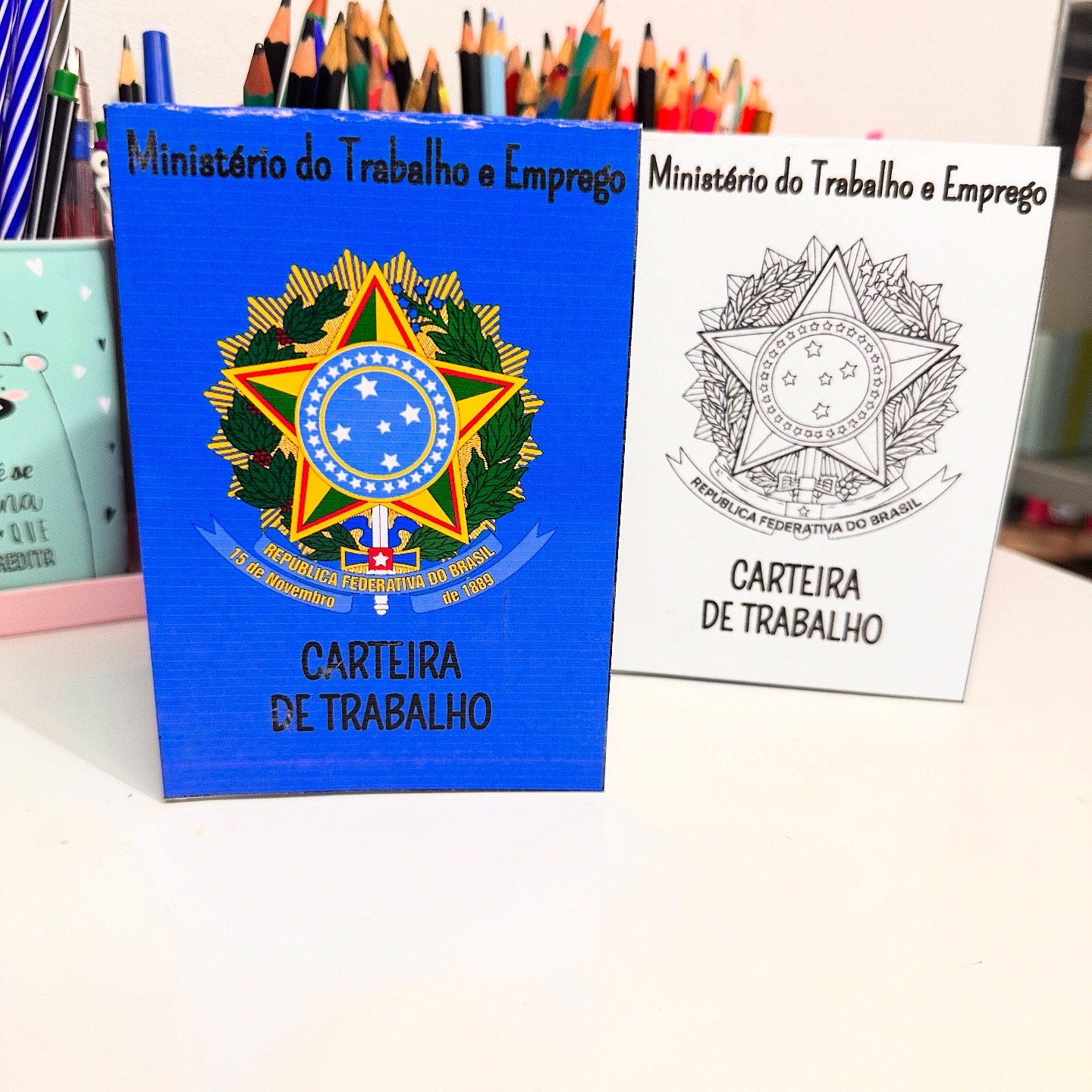 CARTEIRINHA DE TRABALHO