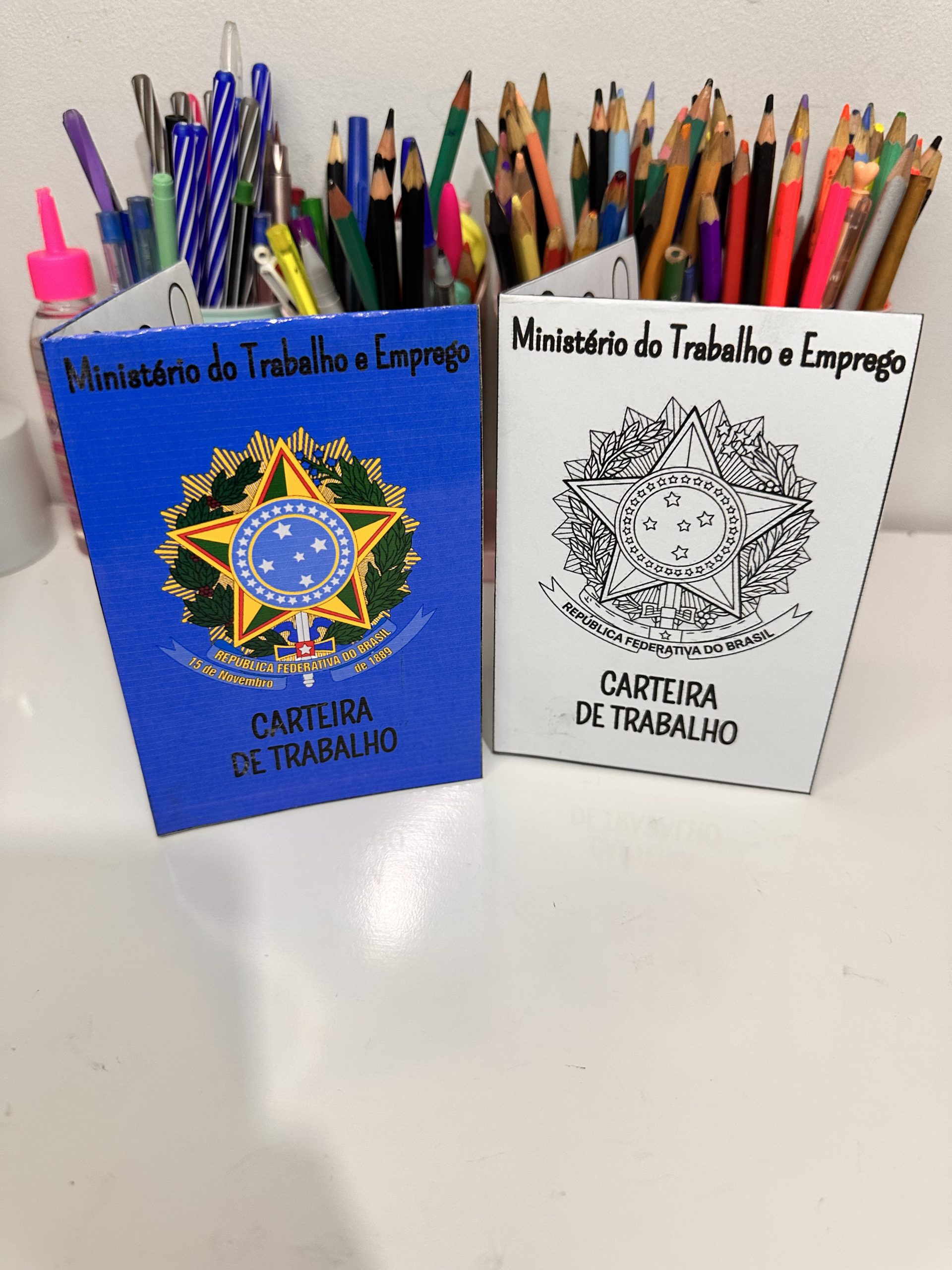 CARTEIRINHA DE TRABALHO - Imagem 2