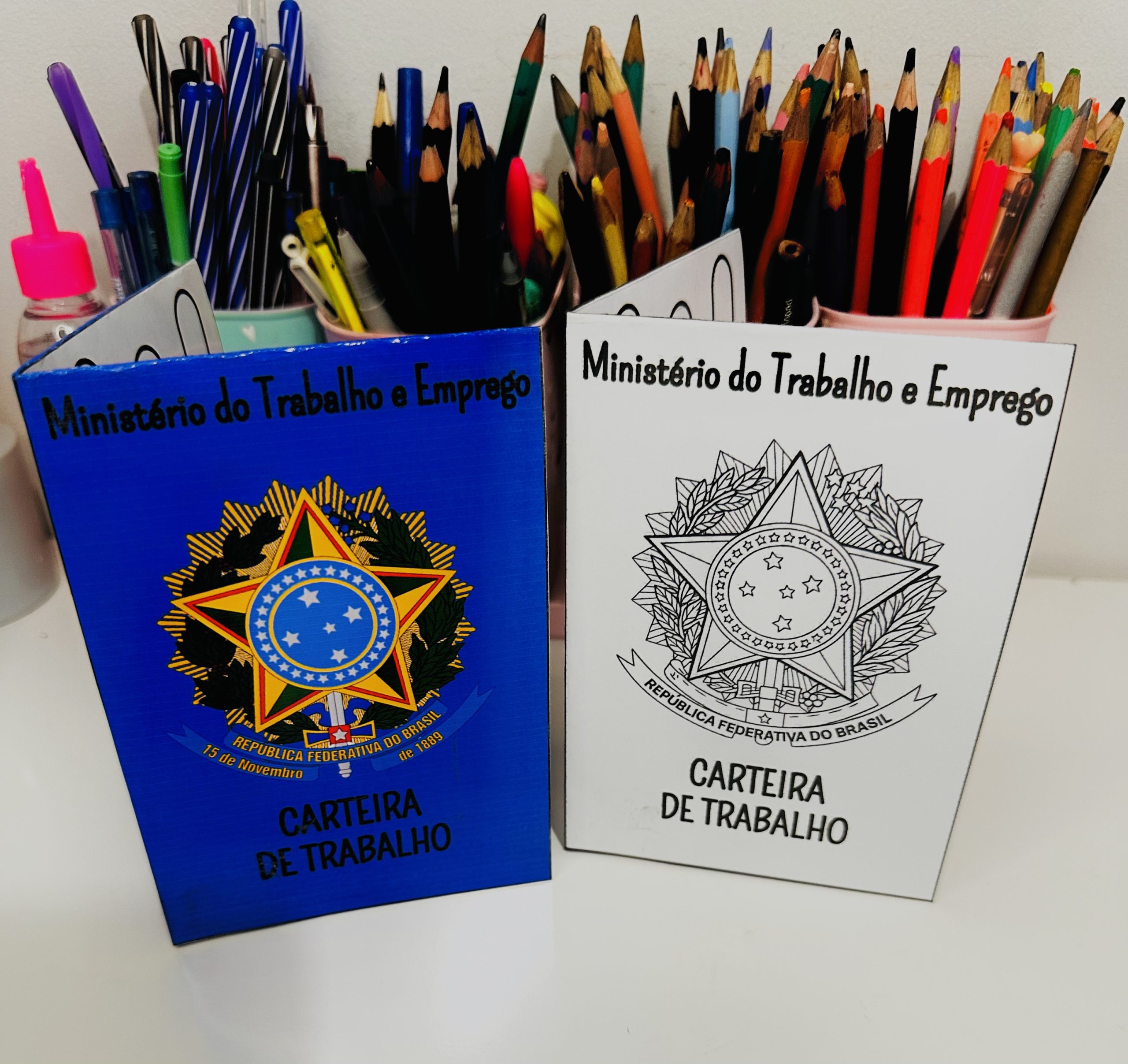 CARTEIRINHA DE TRABALHO - Imagem 6