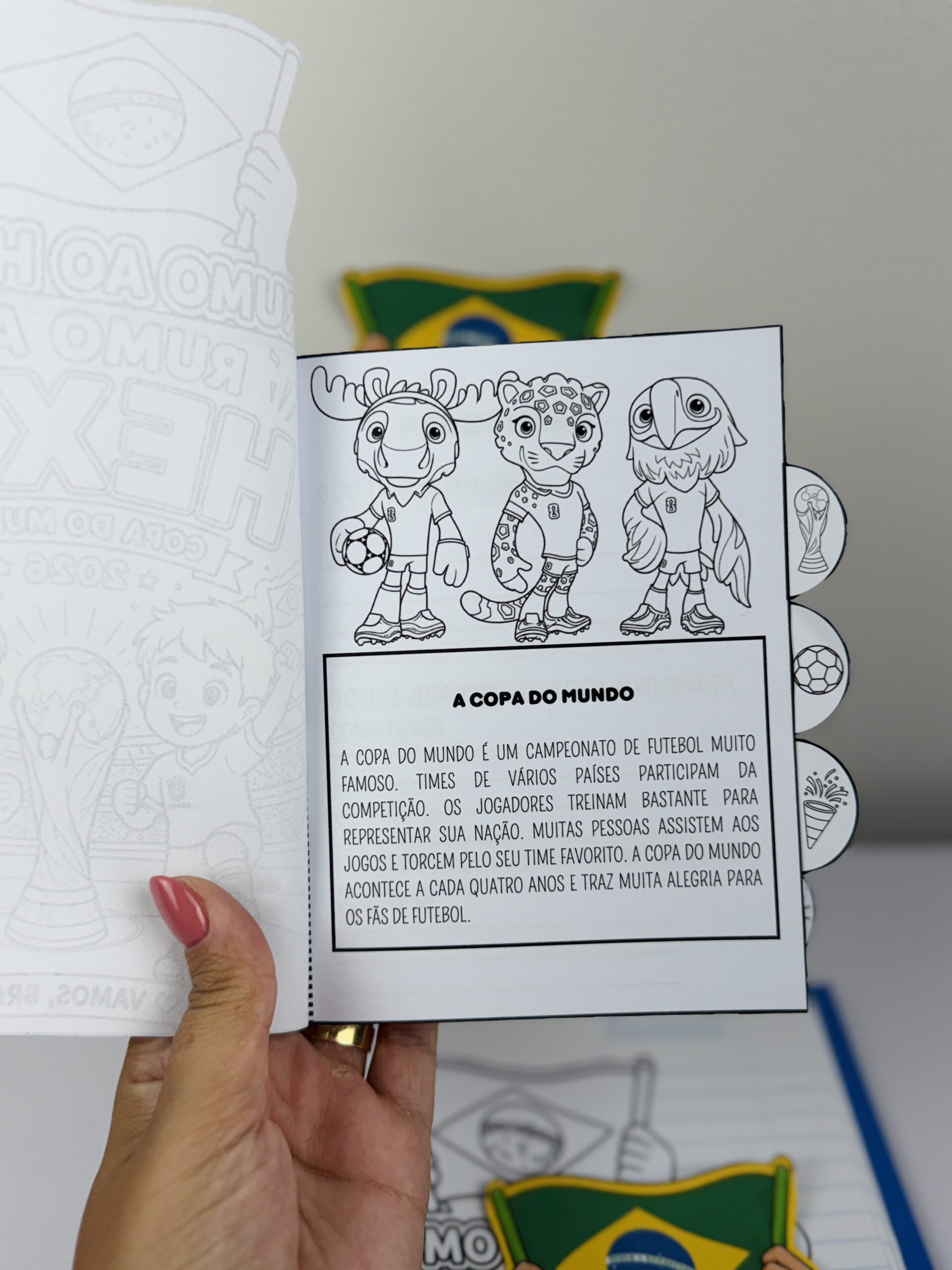 Mini Livro Copa do Mundo - Imagem 4